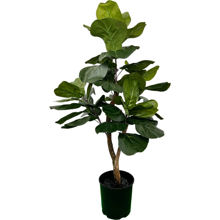 Primrue HandMade Primrue Artificial Fiddle Leaf Fig Tree & Reviews Wayfair